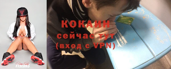 прущий лед Богданович