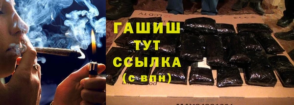 прущий лед Богданович