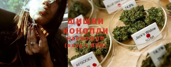прущий лед Богданович